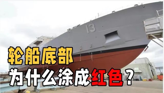 1678349782148307.jpg 1231323jpg.jpg